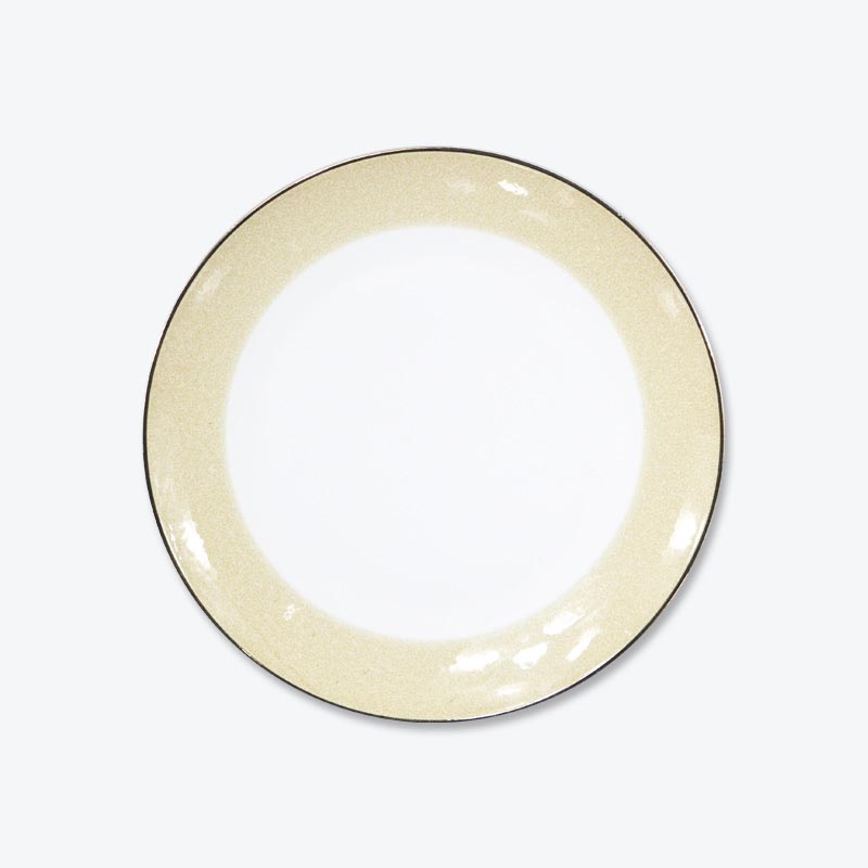 New bone porcelain disc