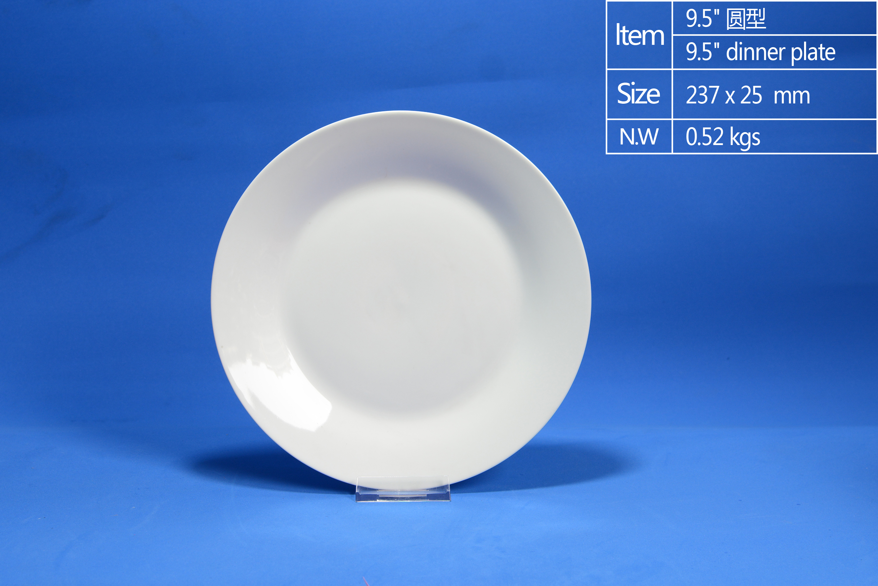 9.5 inch Dinner Plate A