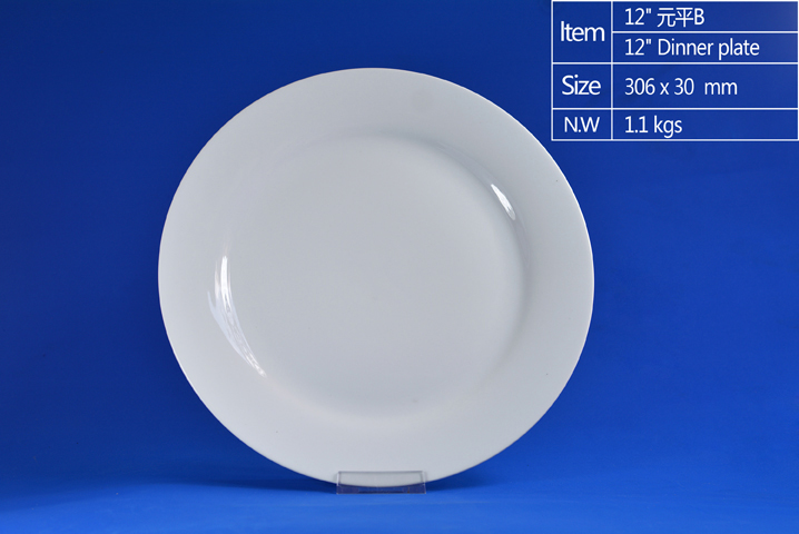 12 inch Dinner Plate B