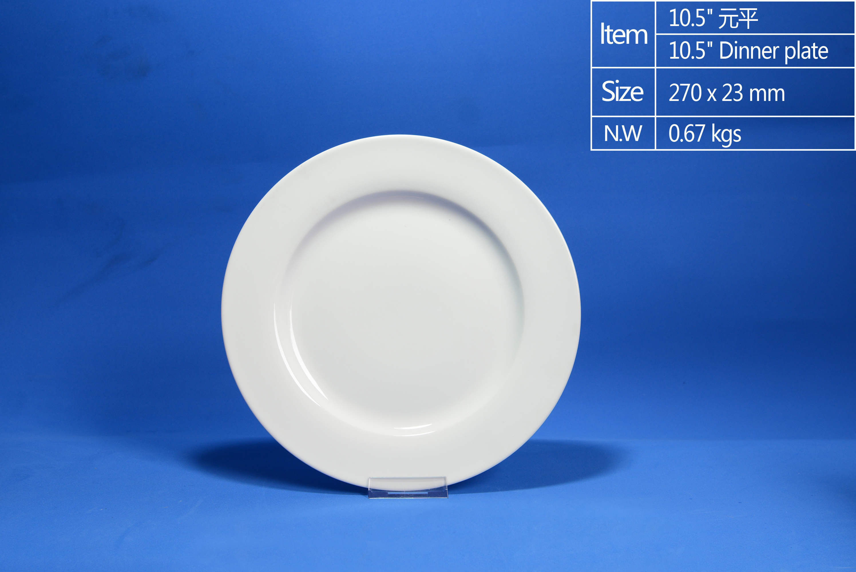 10.5 inch Rim Dinner Plate