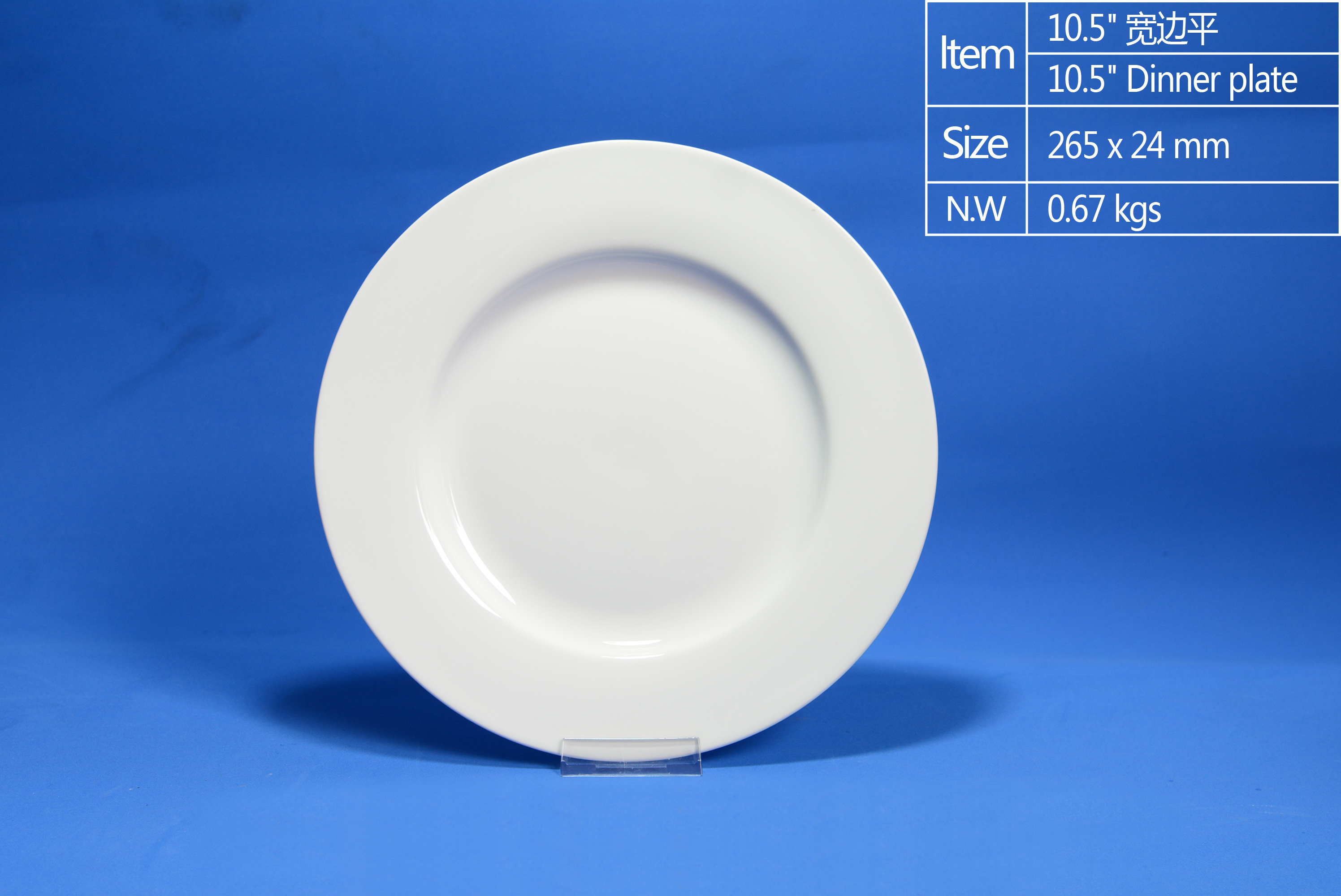 10.5 inch Wide Rim Dinner Plate