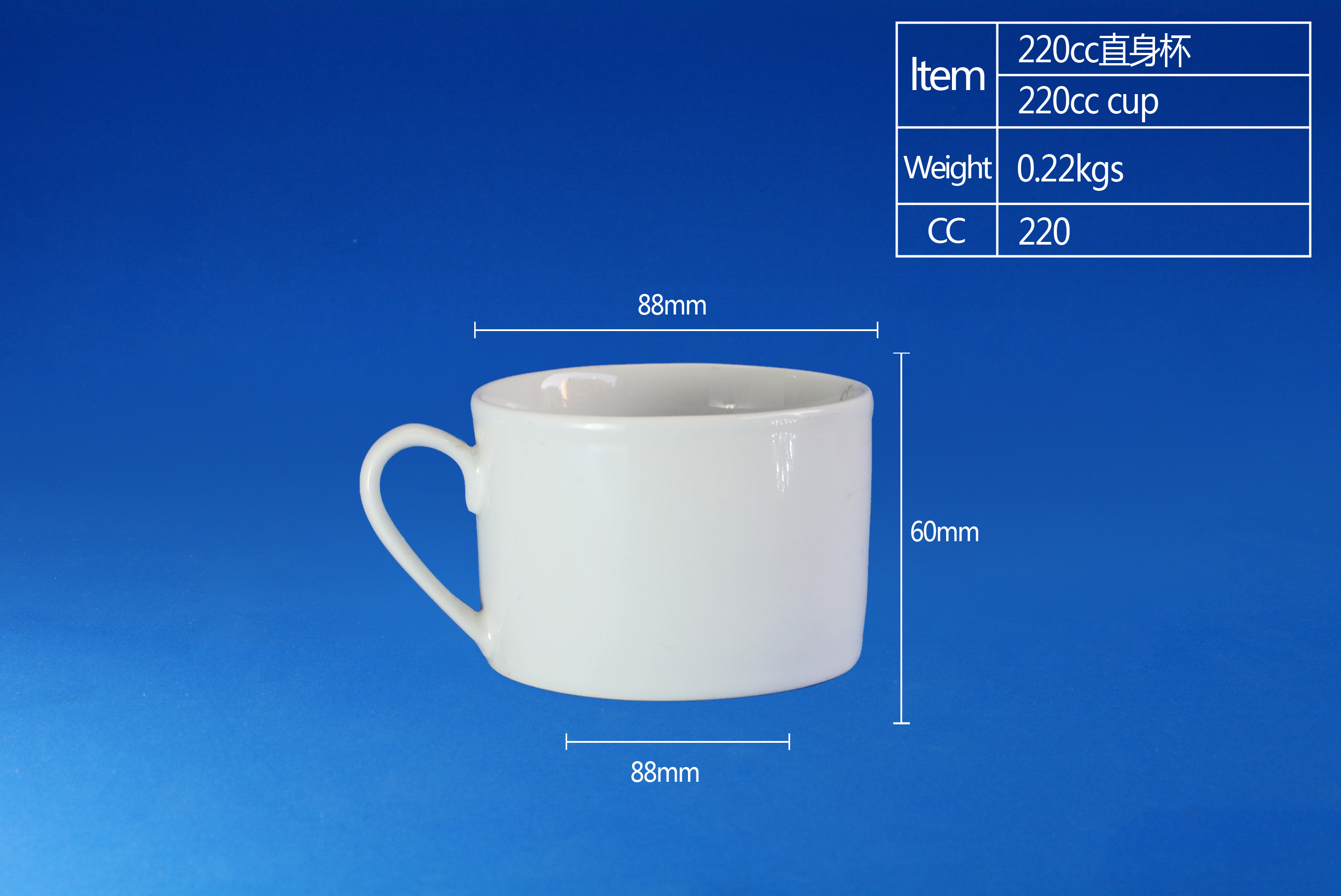 220CC STRAIGHT CUP&SAUCER