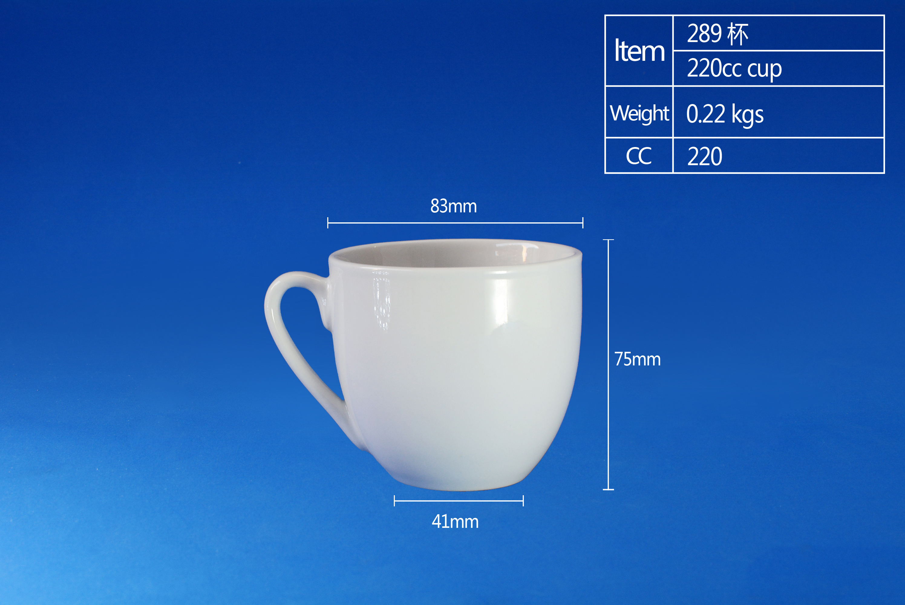 220CC 289 CUP&SAUCER