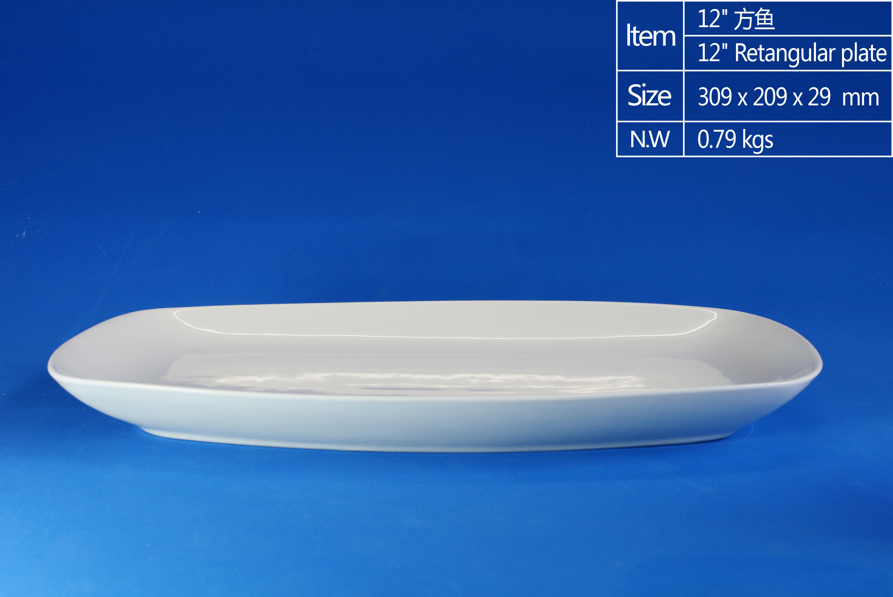 12 inch Rectangle Plate