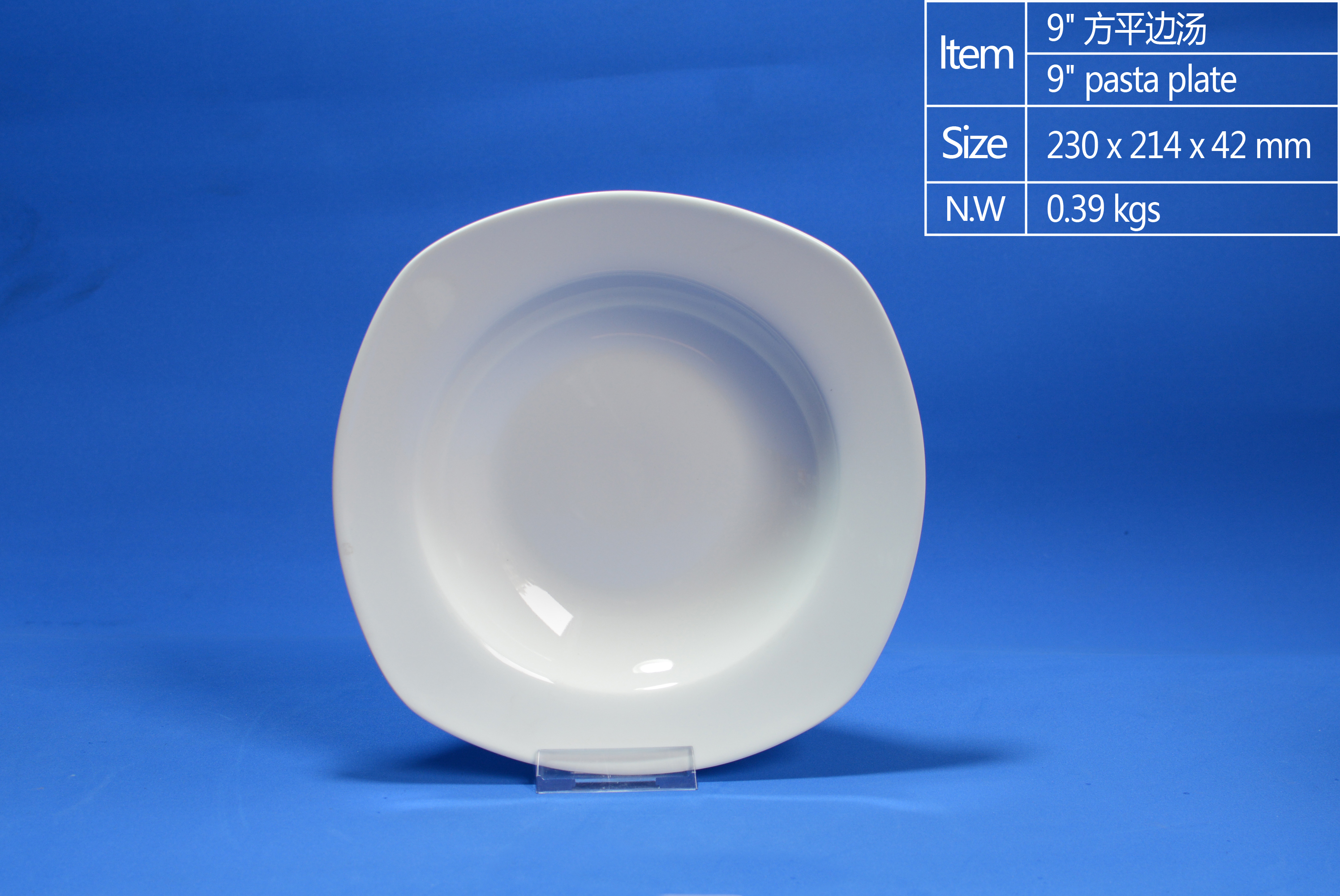 9 inch Square Flat Rim Soup Plate